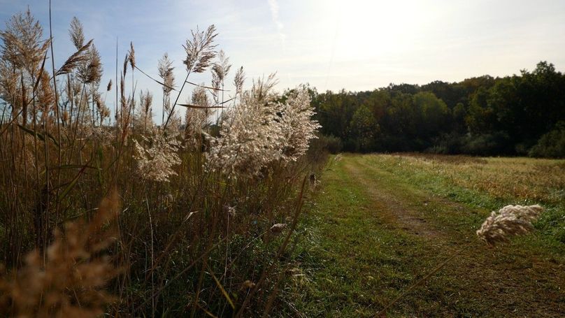 Sequence 07.00_00_44_07.Still133