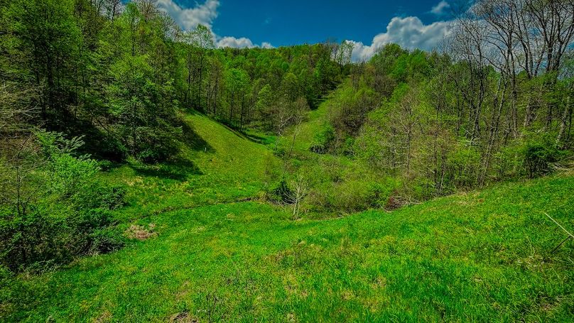 Doddridge, WV 64.69 AC Davis-05