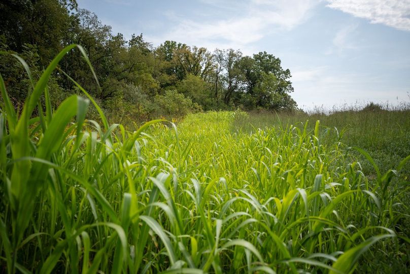 MCHENRY 32 RECENT UPDATES-28