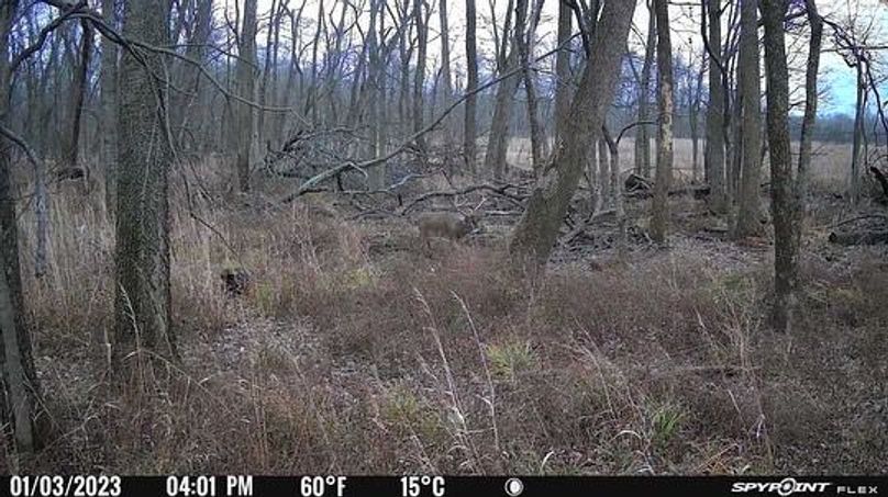 DBCBACB8-6E9B-48BE-83FA-E96B32B3DB8A