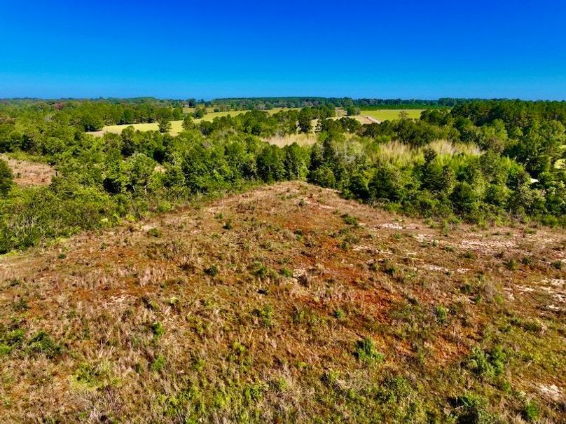 F21D65CE-B7A5-46F5-8B60-0CBC80883B1F_1_105_c