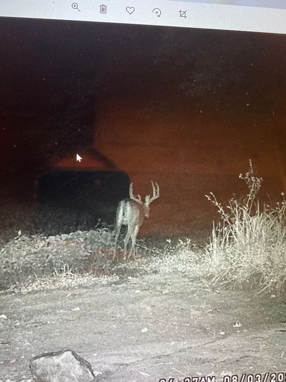 61888836653__B2ED0C0D-5B6A-4714-A248-E30FDC75DC98