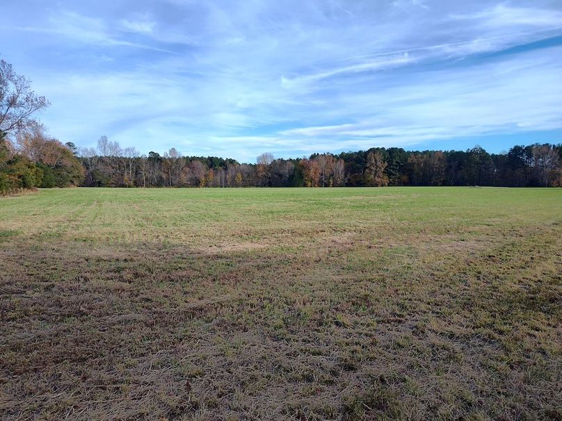 IMG_20251105_154458217_HDR