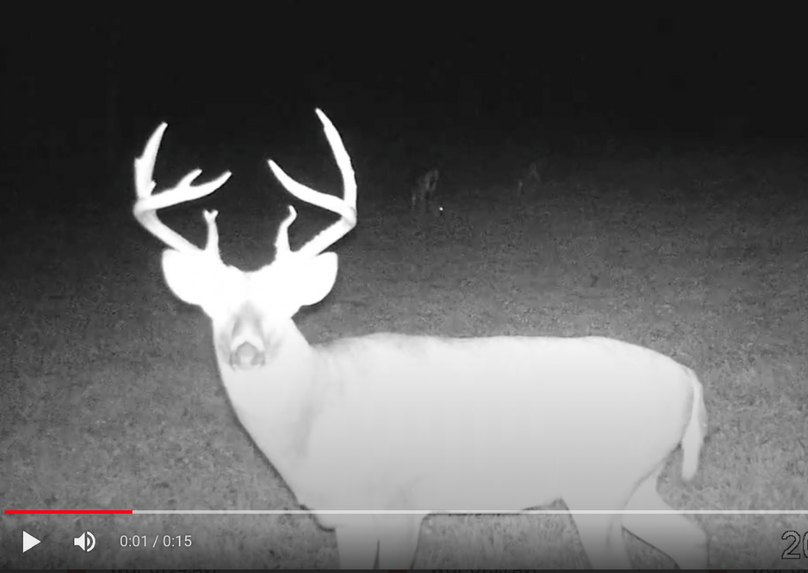 Screen Shot 2024-01-22 at 6.15.17 AM