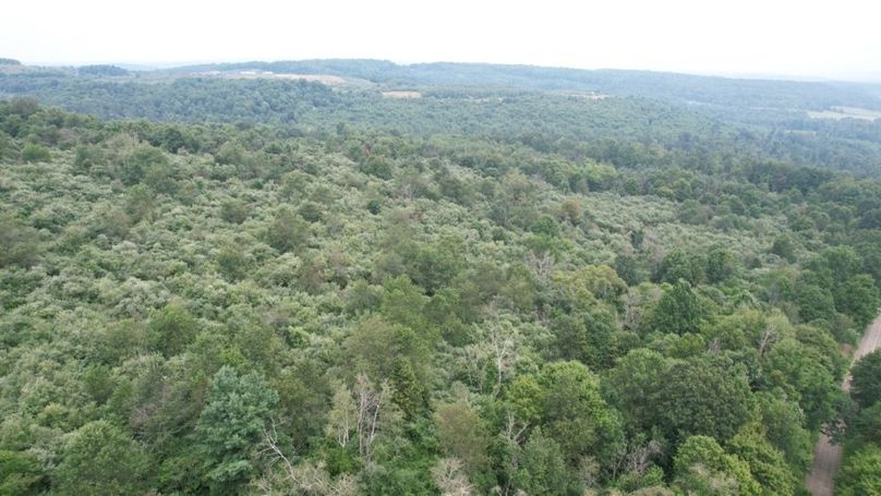 dji_fly_20250806_125154_544_1754499871866_photo