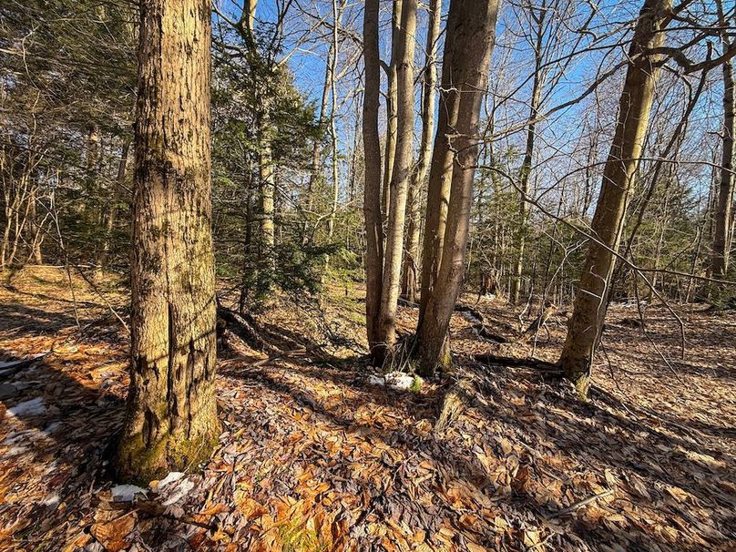 Oswego_16.32_Phillips Photo 20