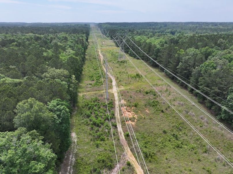 dji_fly_20260518_094852_0184_1779205365224_photo