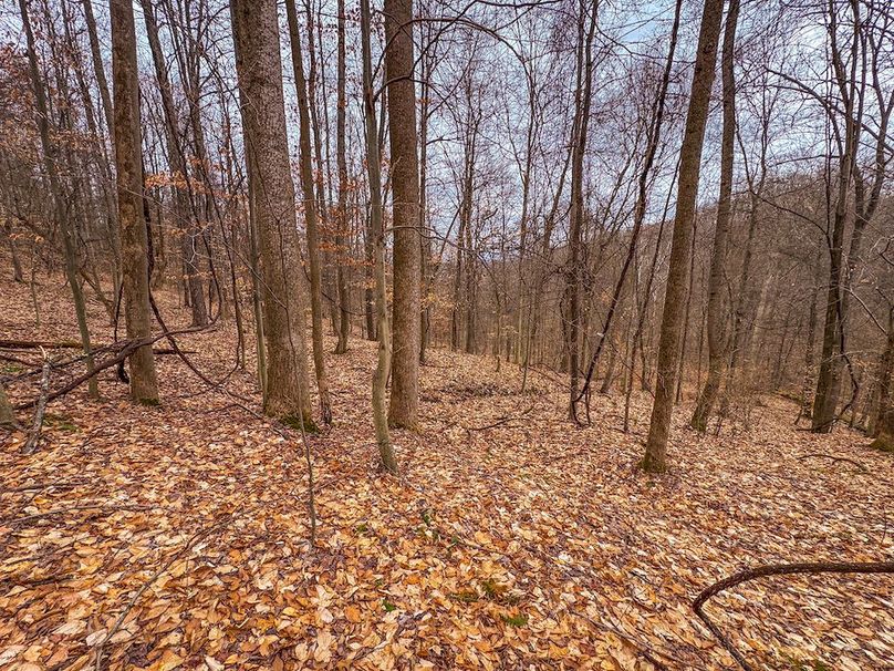 Tyler, WV 90 AC Burkhart-10