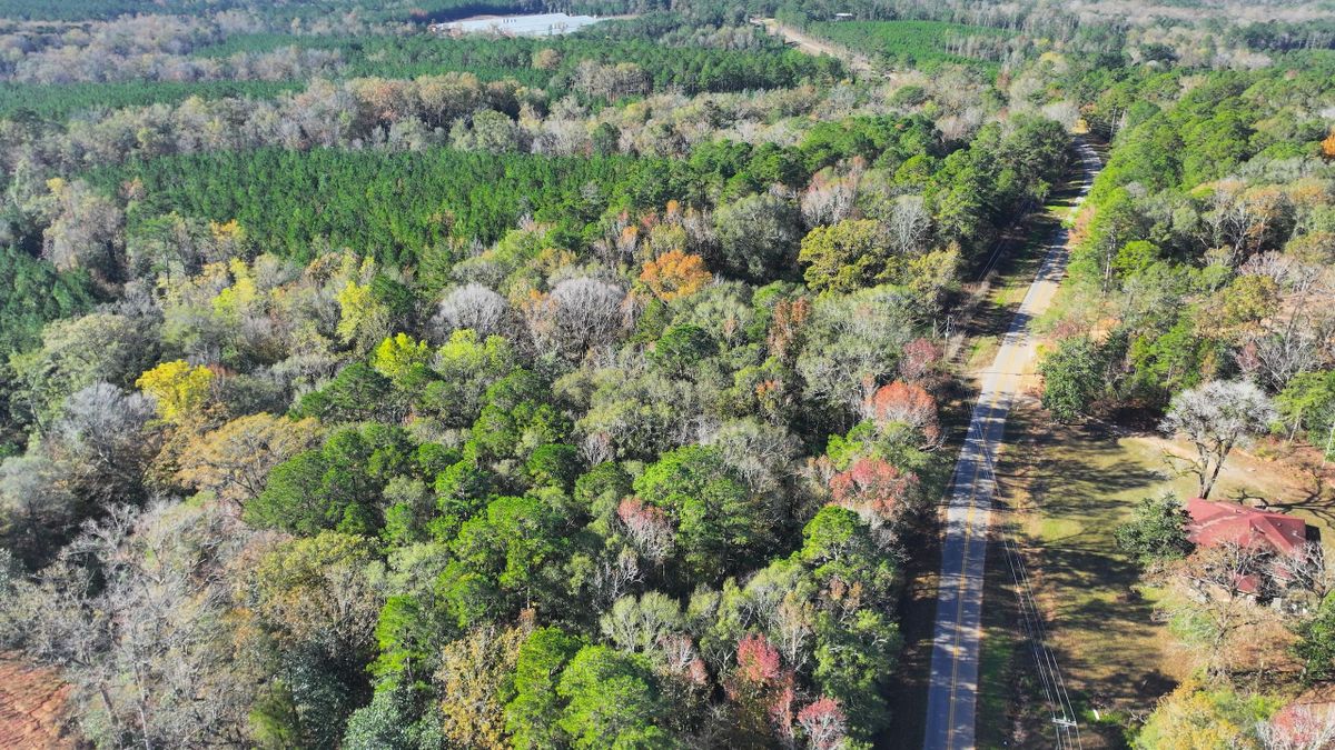 Rural Living Just Outside City Limits Whitetail Properties