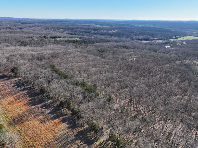 DJI_20260317092444_0952_D