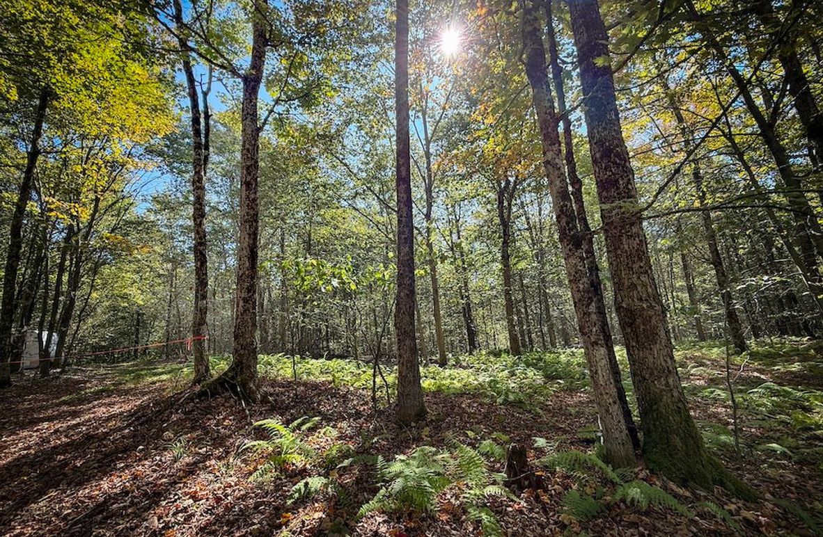 Oswego NY 18.18 Martin Photos 1