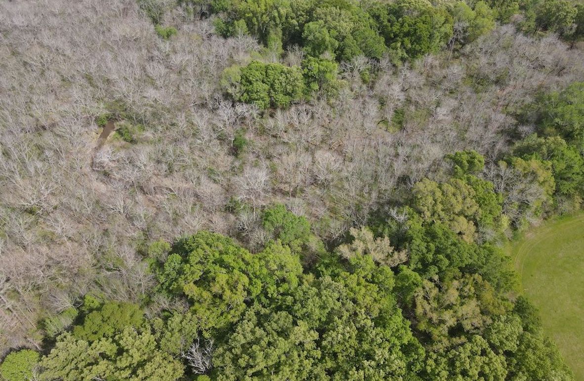 dji_fly_20240330_152540_138_1711830357527_photo