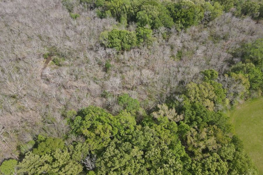 dji_fly_20240330_152540_138_1711830357527_photo