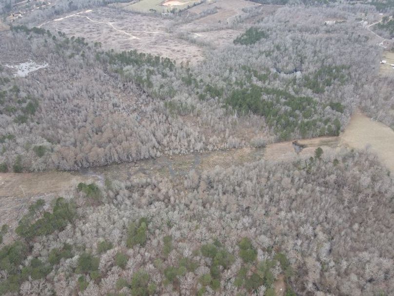 dji_fly_20240217_152312_80_1708205001944_photo