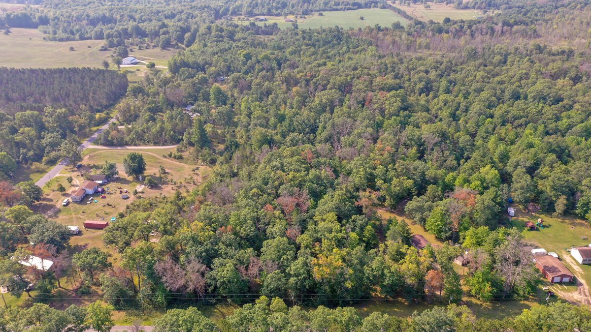 Buildable Acreage In Northwest Michigan | Whitetail Properties