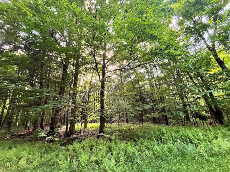 Jefferson_260.3_ Lobach_Photos_26