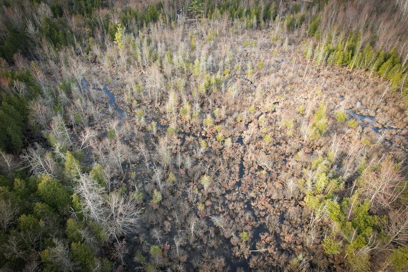 StLawrence_142.7_Bosse_Photos_52