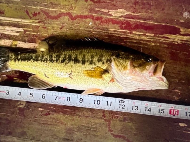 Tioga_28.87_Shangraw Photo 26