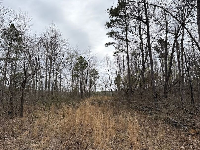 DJI_20260324_103808_625