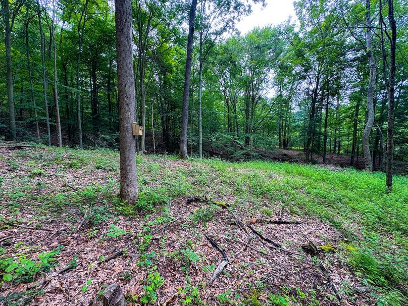 Tyler, WV 46 Lemasters -11