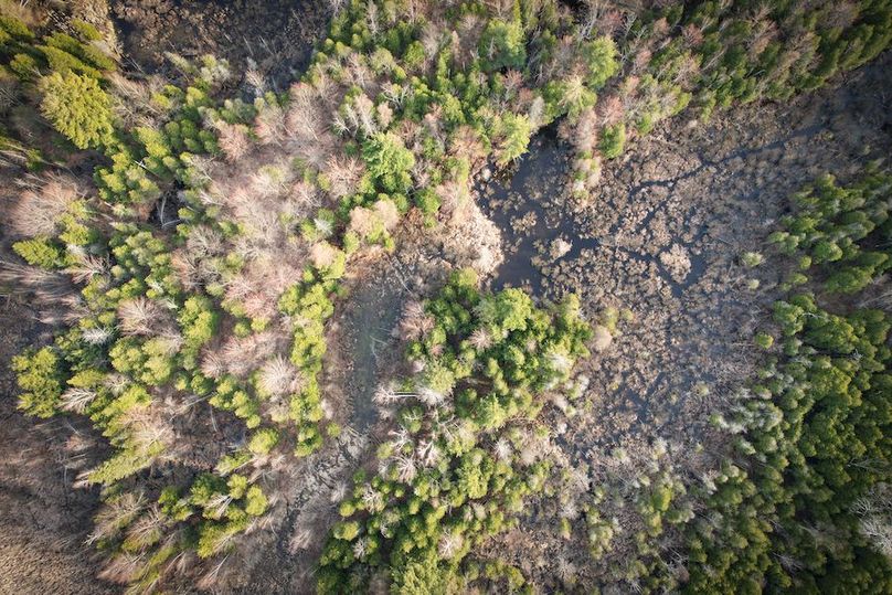 StLawrence_142.7_Bosse_Photos_27