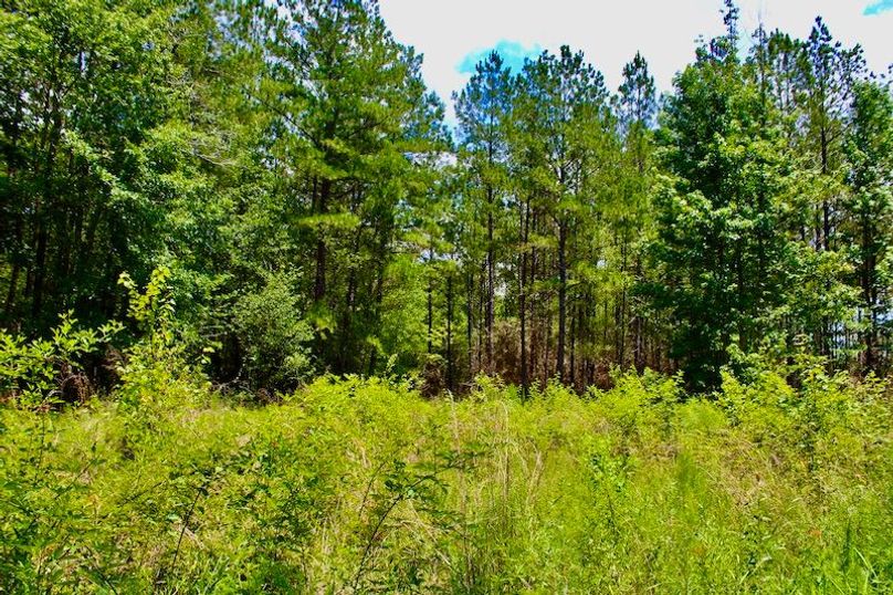 6AF9D517-F420-4BBA-95C8-003FC38B66C7_1_201_a