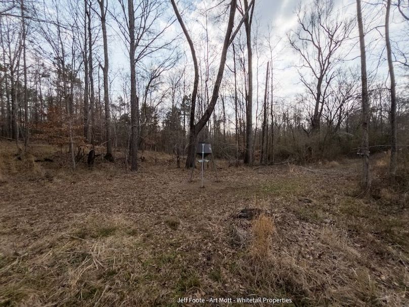 Holmes County - 108 - Rodriguez-59