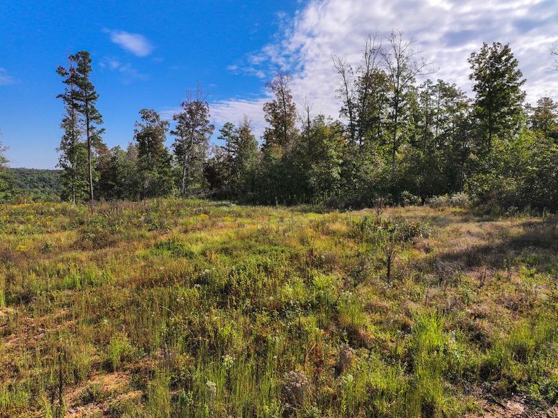 DJI_20250925100626_0706_D