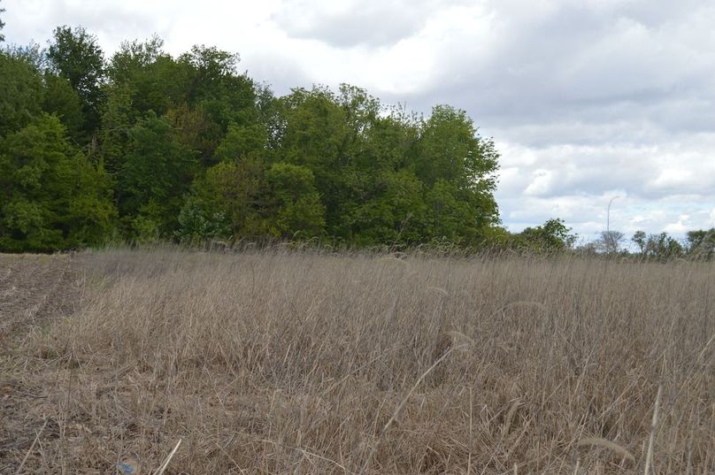 east border of grassy area
