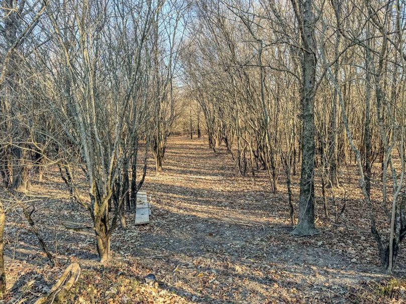 St. Francis 216.9 Calvin Parker Farms Profile -14