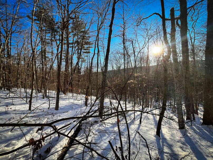 Tioga_11.9_Kilroy_Photos_25