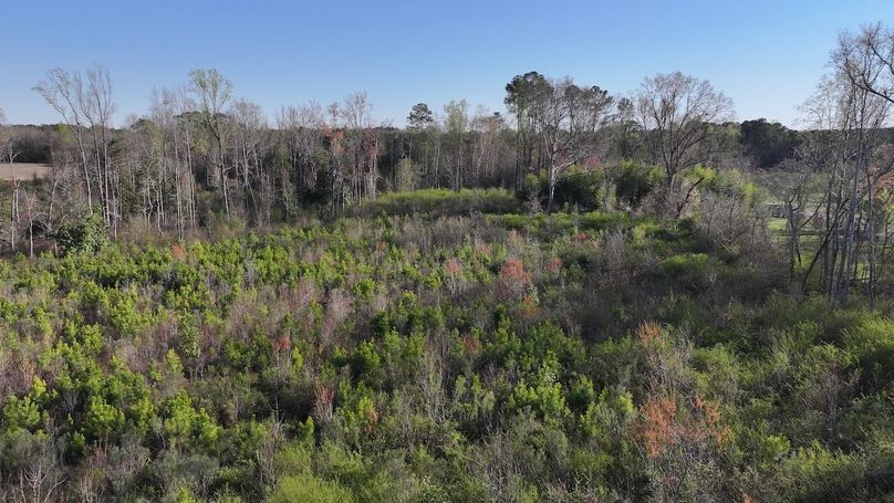 DJI_20240321173518_0064_D