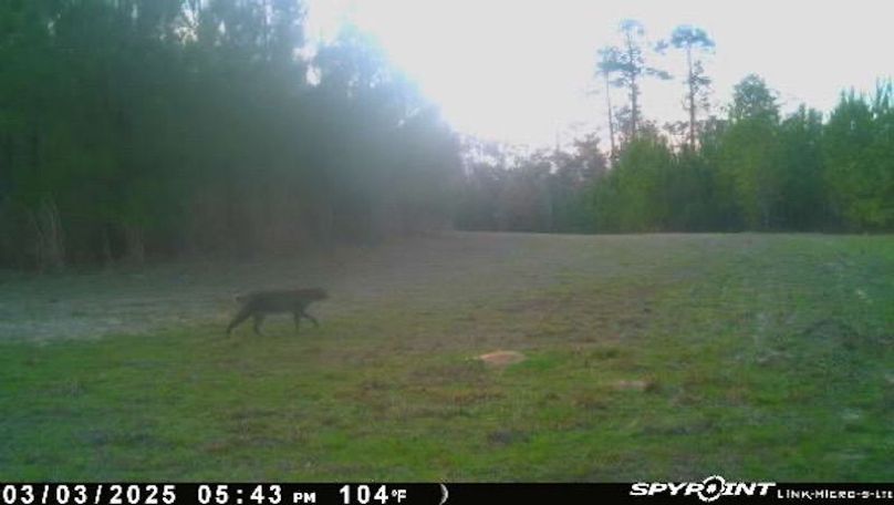 Trail Pic 5