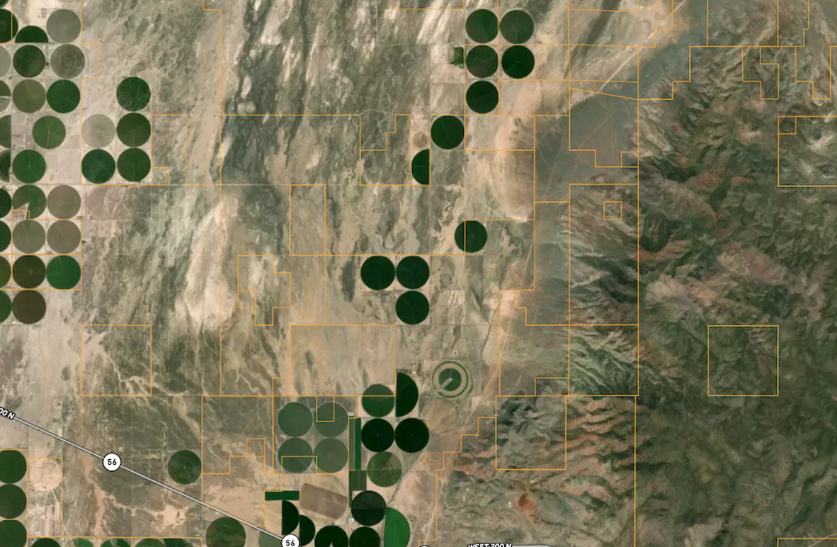 Screenshot 2025-08-22 at 12.11.36 PM