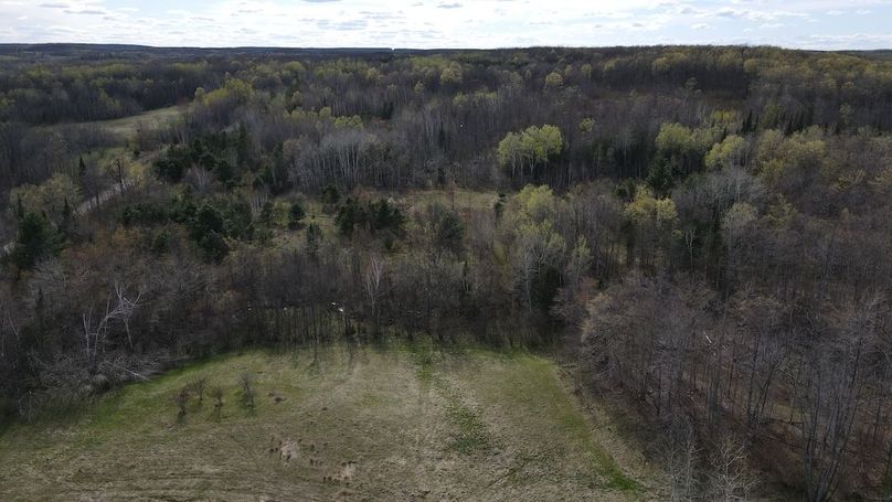 DJI_0730