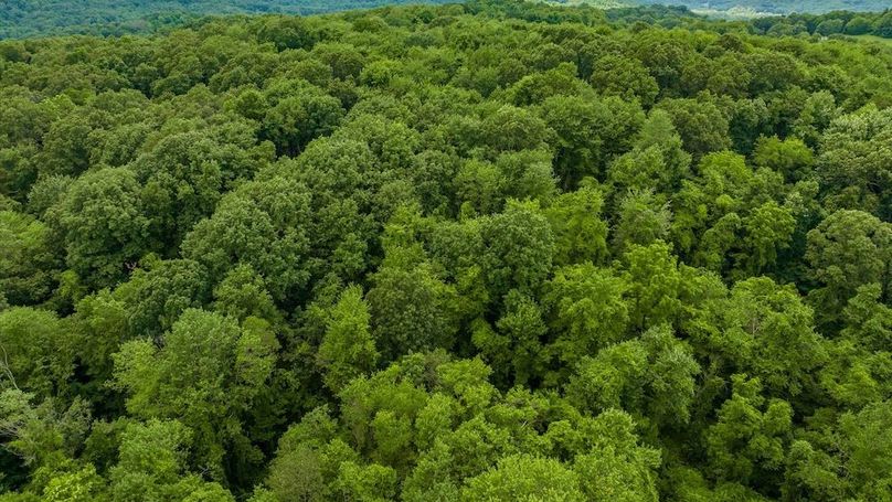 Copy of 11-z 61342 High Hill Rd011