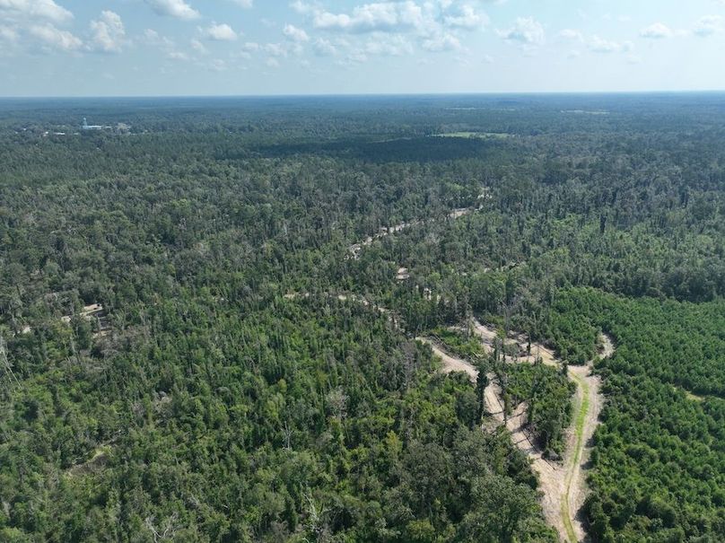 dji_fly_20240814_114538_757_1723676244353_photo