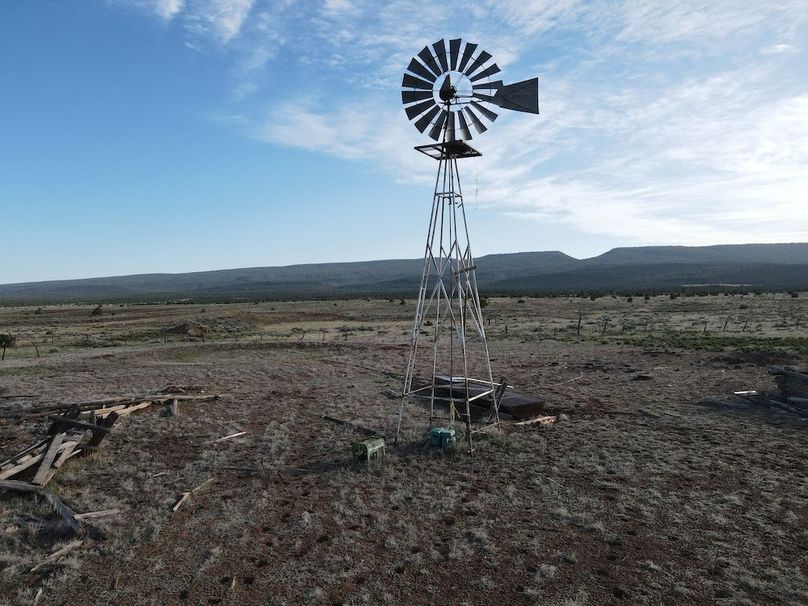 dji_fly_20240504_074618_330_1714830422366_photo