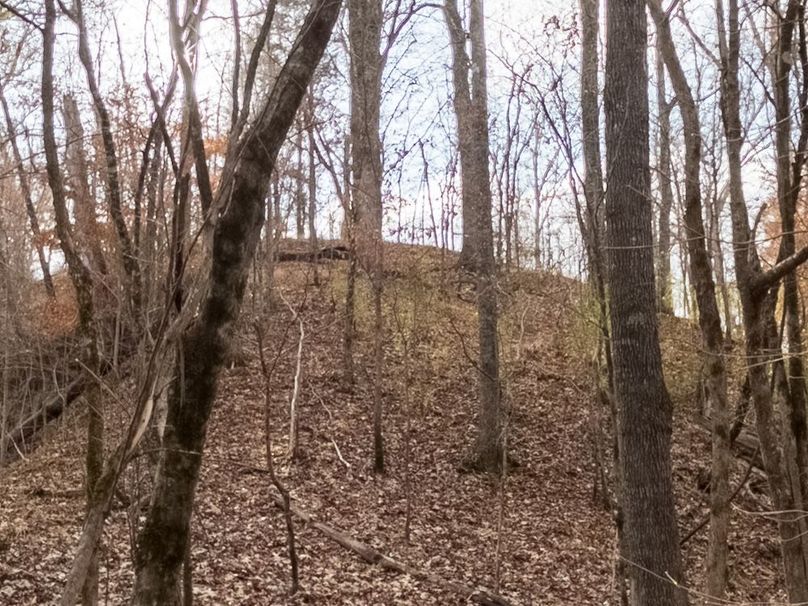 Yazoo Co - 75 - Batton-32