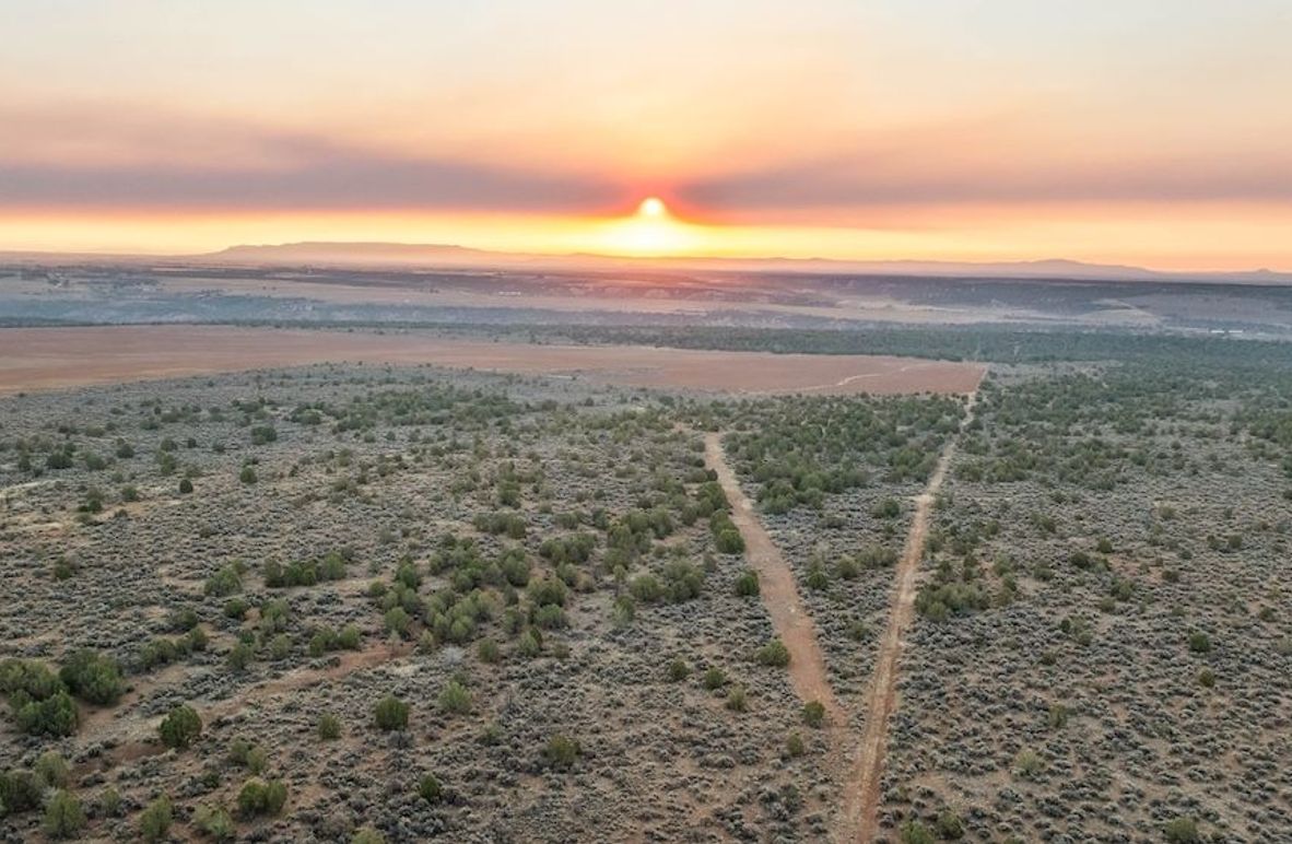 DJI_0461_1