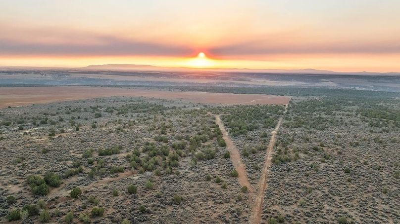DJI_0461_1