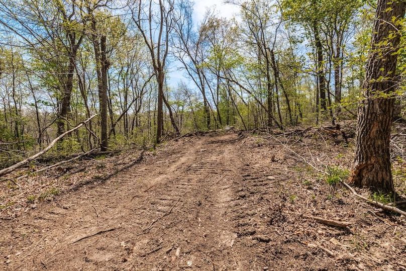 46-web-or-mls-0 Mound Creek Rd-16