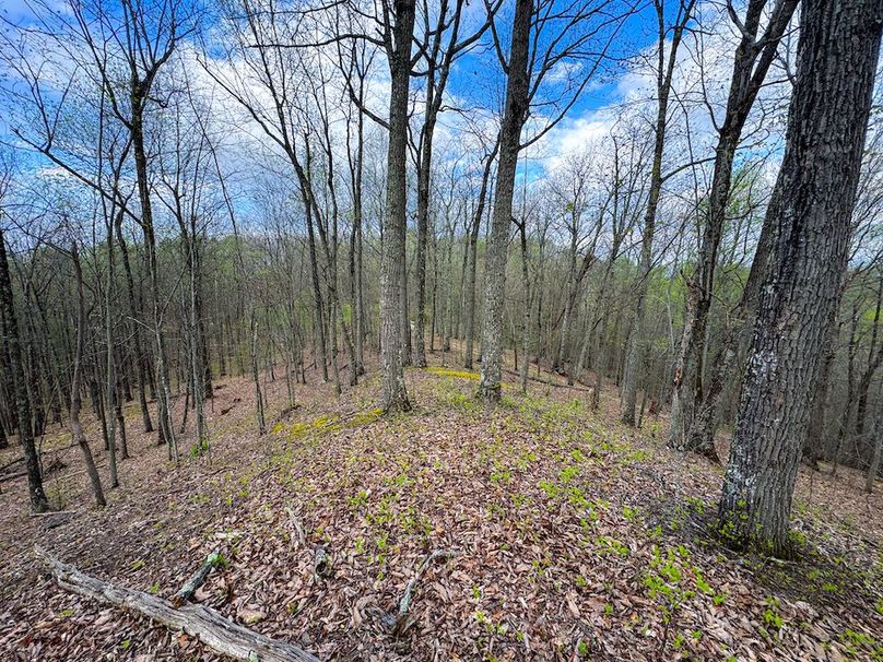 Calhoun, WV 132.84 AC Szegi 2-111