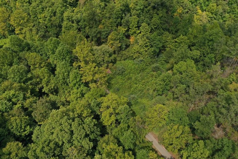 011 aerial drone shot looking straight down near the west boundary