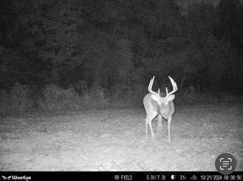 TwinStatesTrailCam35