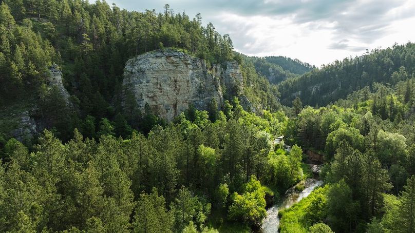 Lawrence SD 50 Featured_ProPhoto-37