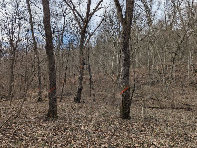 PXL_20230213_160246947