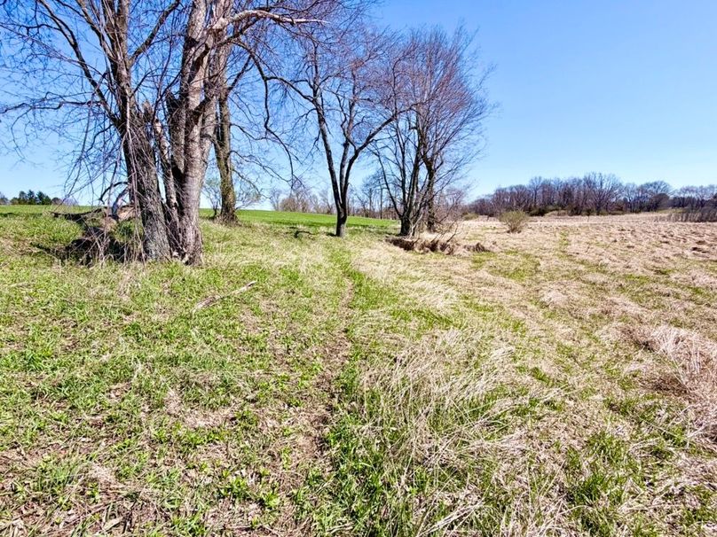 North Field Deer Trail