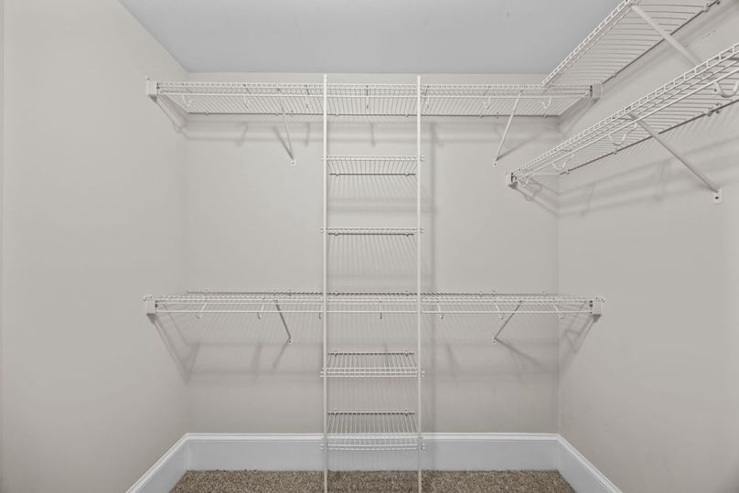 28-web-or-mls-CN6A2258