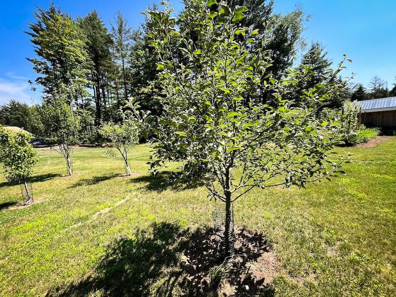 Oswego_47.53_Jarvis_Photos_36